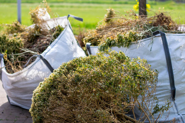 Best Local Junk Hauling  in Burney, CA